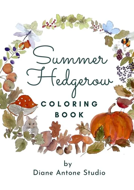 Summer Hedgerow Coloring Book