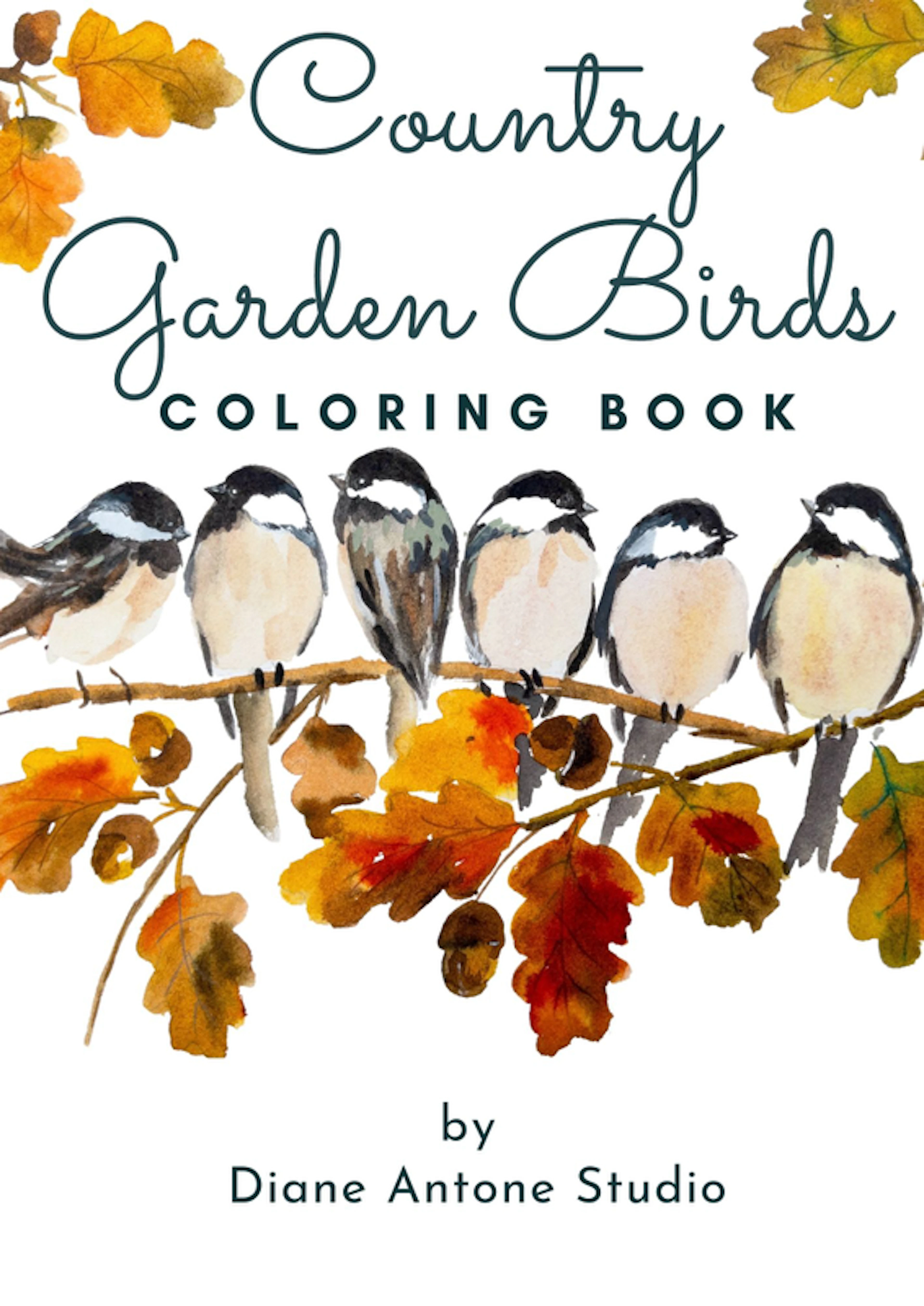 Country Garden Birds Coloring Book